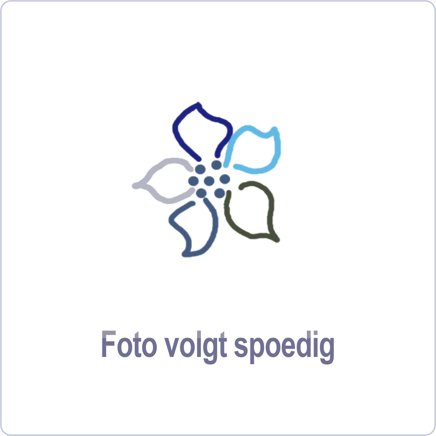 1063 Theelicht/stoof Ø15cm