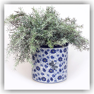 Bunzlau Lepel/bloem/opslagpot (601003) - Sea Star (2607)