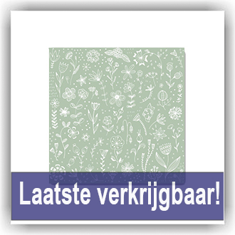 Bunzlau Papieren servetten - Small (PPD2)