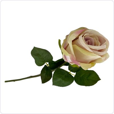 Bunzlau Roze roos (BR03)