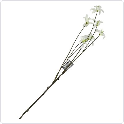 Bunzlau Gloriosa wit (BR07)