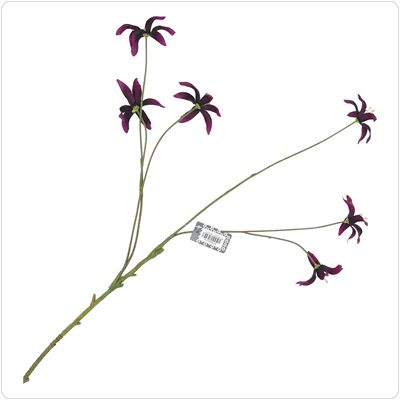 Bunzlau Gloriosa paars (BR08)