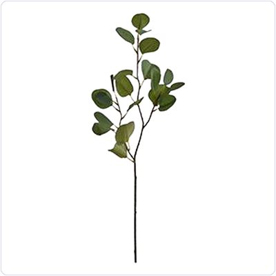 Bunzlau Eucalyptus spray zijde (KB13)