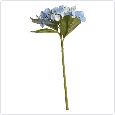 Bunzlau Hortensia tak zijde (KB15)