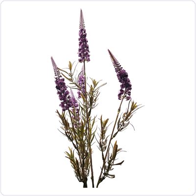 Bunzlau Veronica lavendel zijde (KB22)