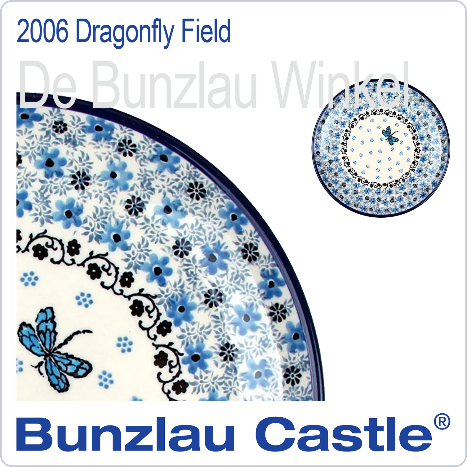  2006 Dragonfly Field