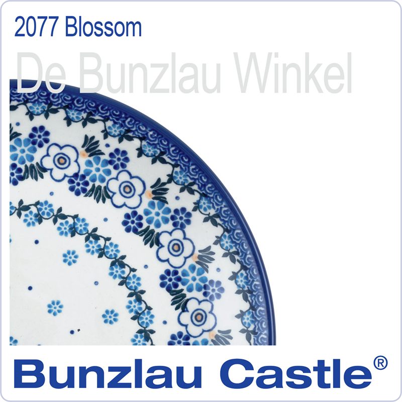  2077 Blossom