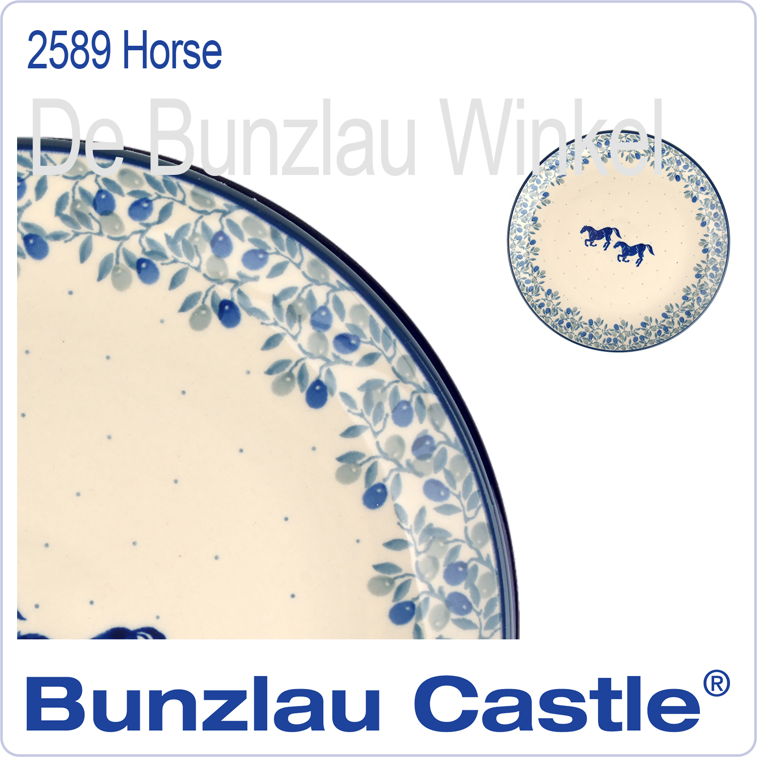  2589 Horse