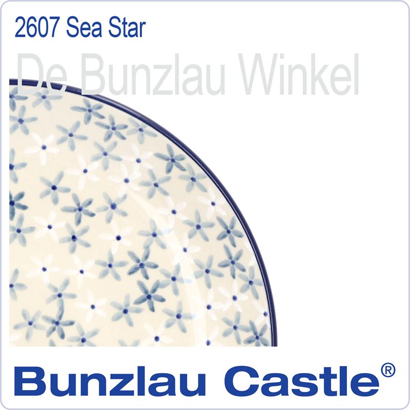  2607 Sea Star