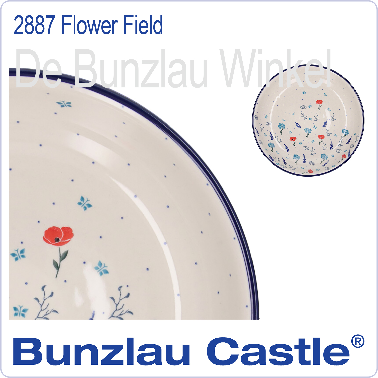  2887 Flower Field