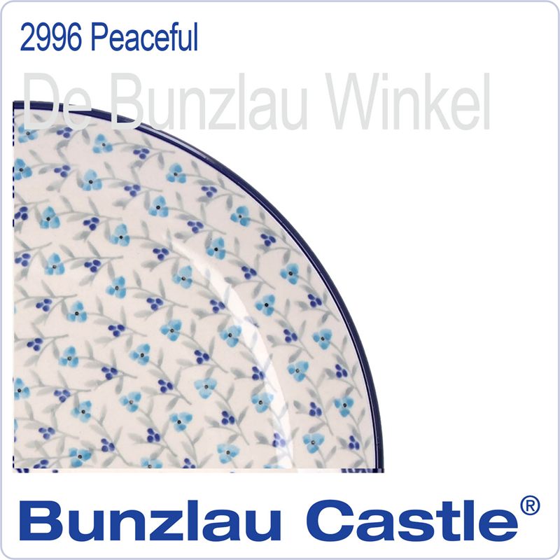  2996 Peaceful