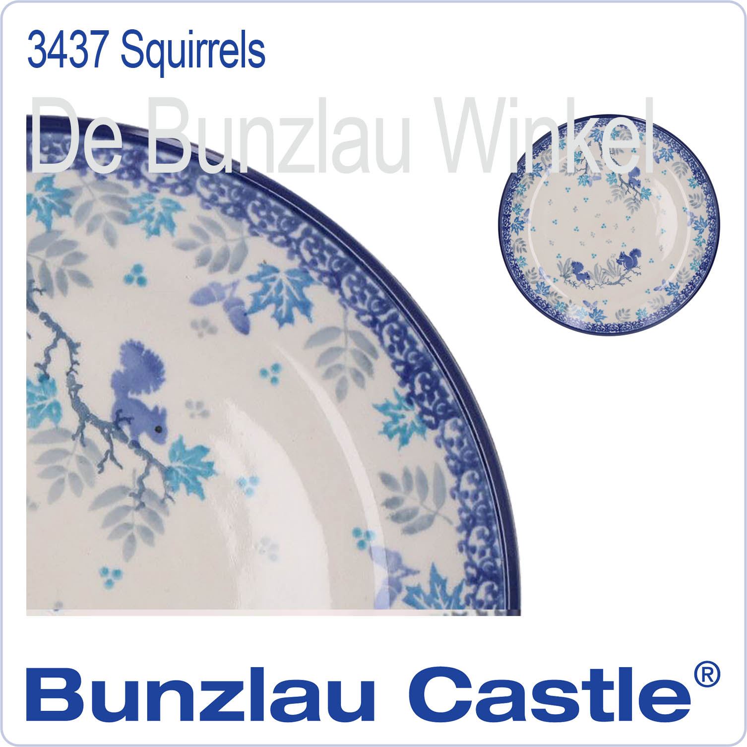  3437 Squirrels