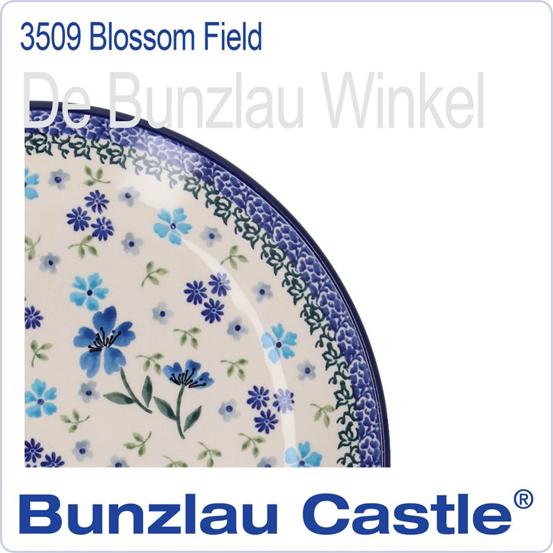  3509 Blossom Field