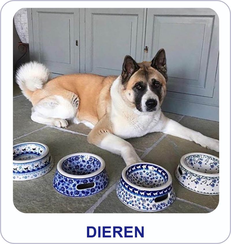 Dieren